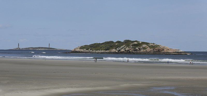 Group forms to save Salt Island
